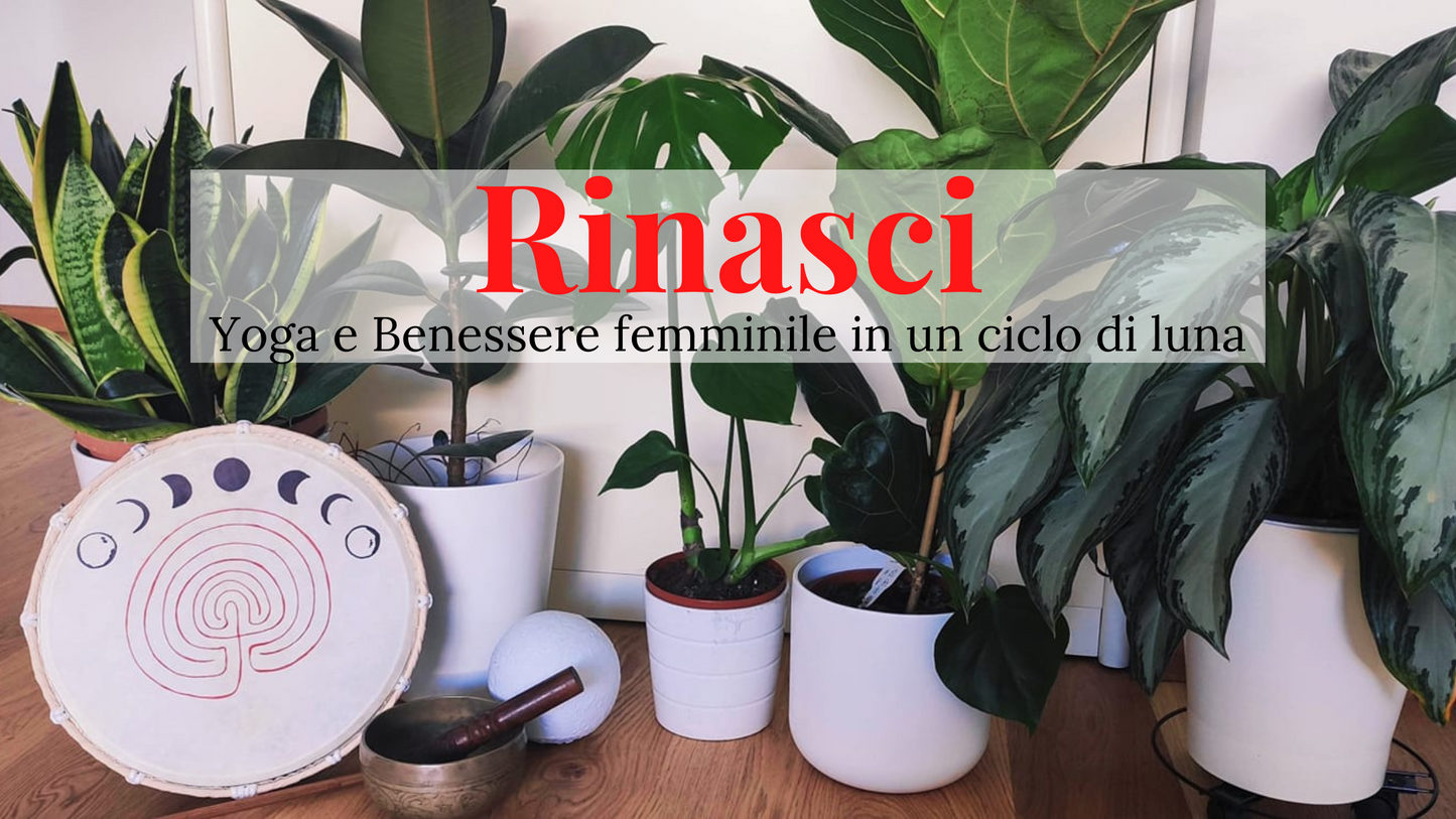 Rinasci. Yoga e Benessere femminile in un ciclo di luna.